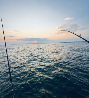 Another day, another seabass catch in the books!